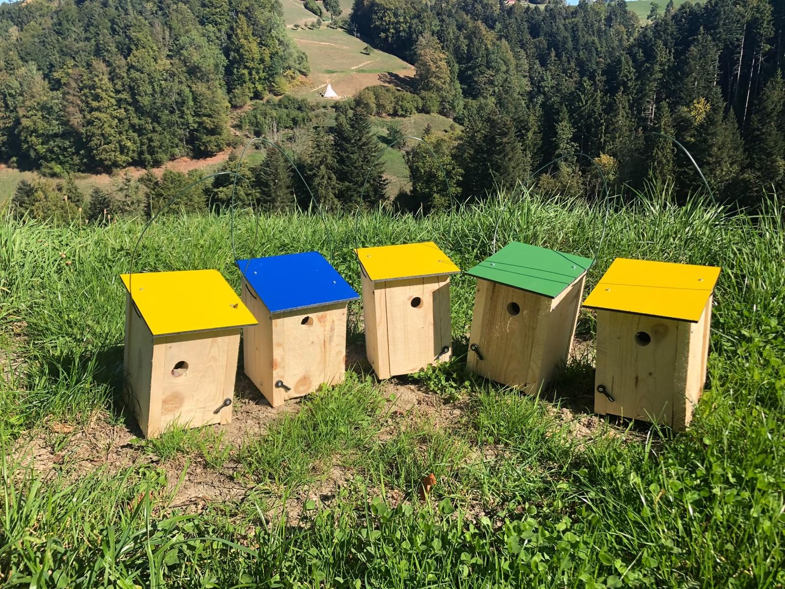 Fünf Vogelhäuschen aus Holz mit farbigen Dächern auf einer Wiese