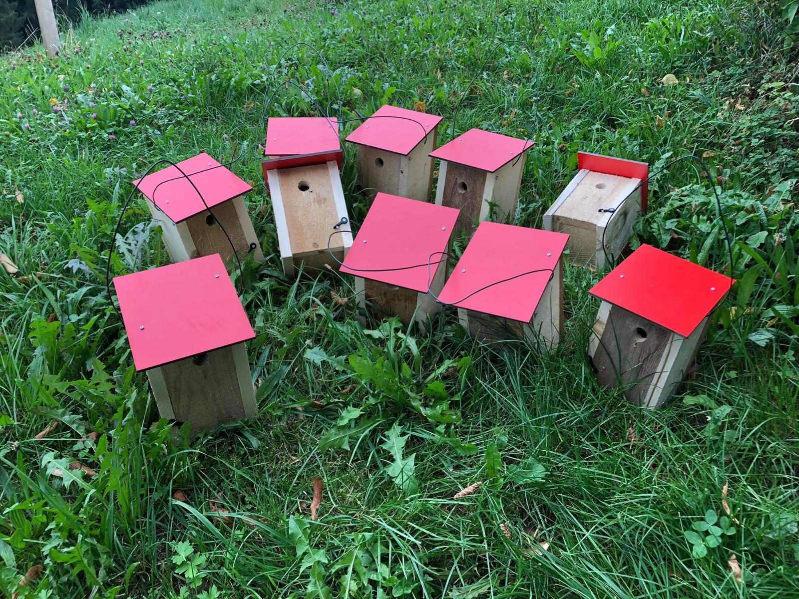 Zehn Vogelhäuschen aus Holz mit rosa und roten Dächern in der Wiese